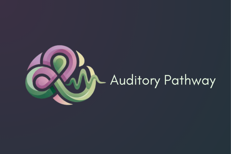 Auditory Pathway Logo Horizontal 768x512